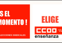 te invitamos a apoyar nuestra candidatura al Comité del PDI