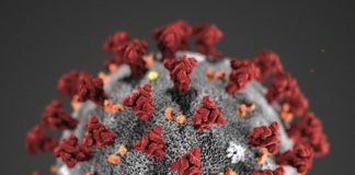 Medidas excepcionales por coronavirus en la UPM