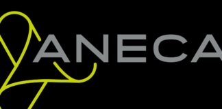 Sobre la propuesta de nuevos criterios de acreditación de la ANECA