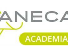 ANECA publica documentos de ayuda para la acreditación