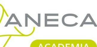 ANECA publica documentos de ayuda para la acreditación