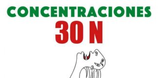 Concentraciones por todo el país exigirán el Alto el Fuego en Palestina el 30 de noviembre