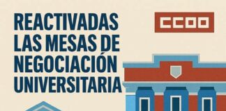 CCOO trabaja por la defensa del modelo público de universidad y por los derechos de su personal